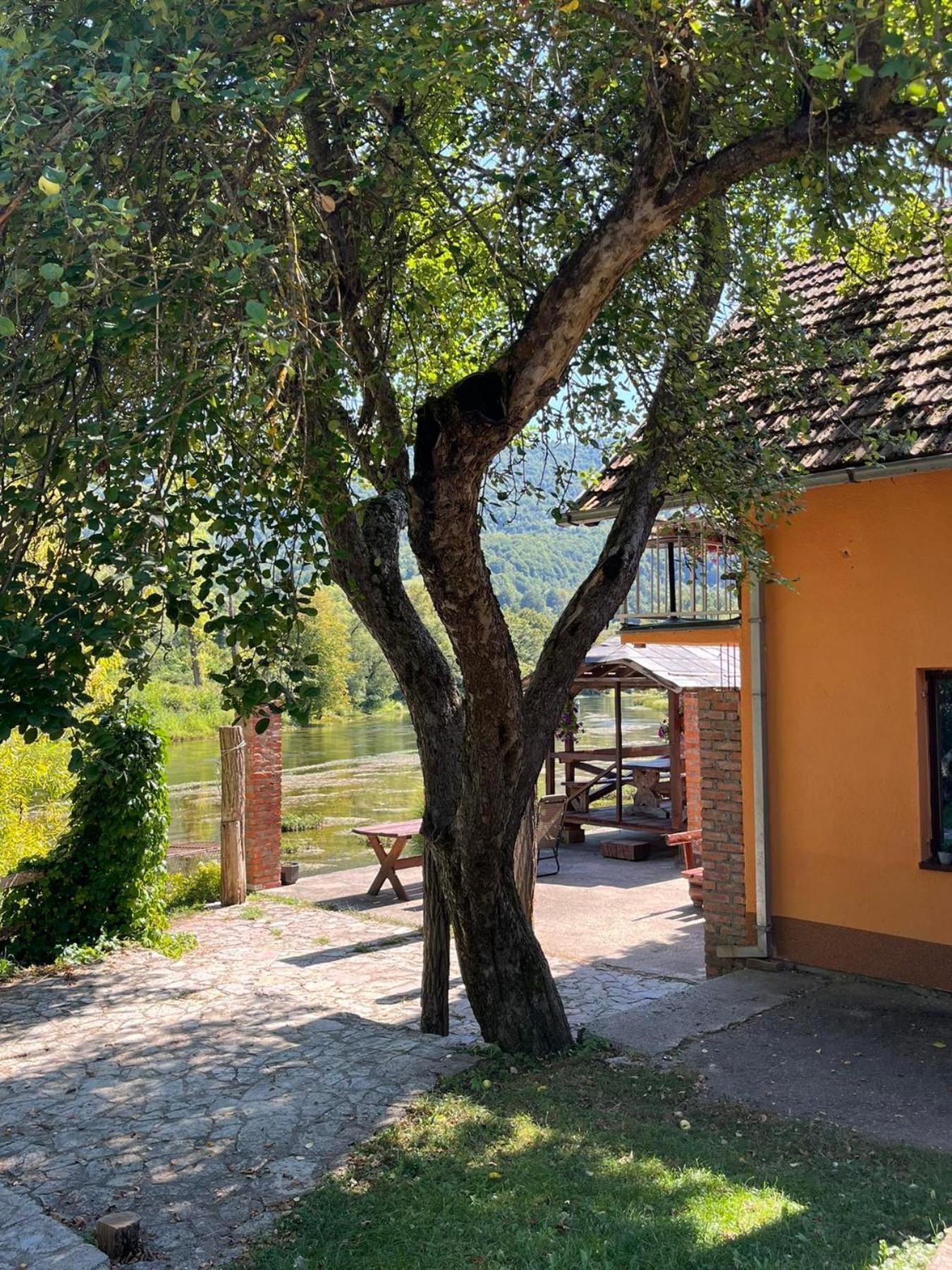 Bed And Breakfast Family Djukic Sipovo Exteriör bild